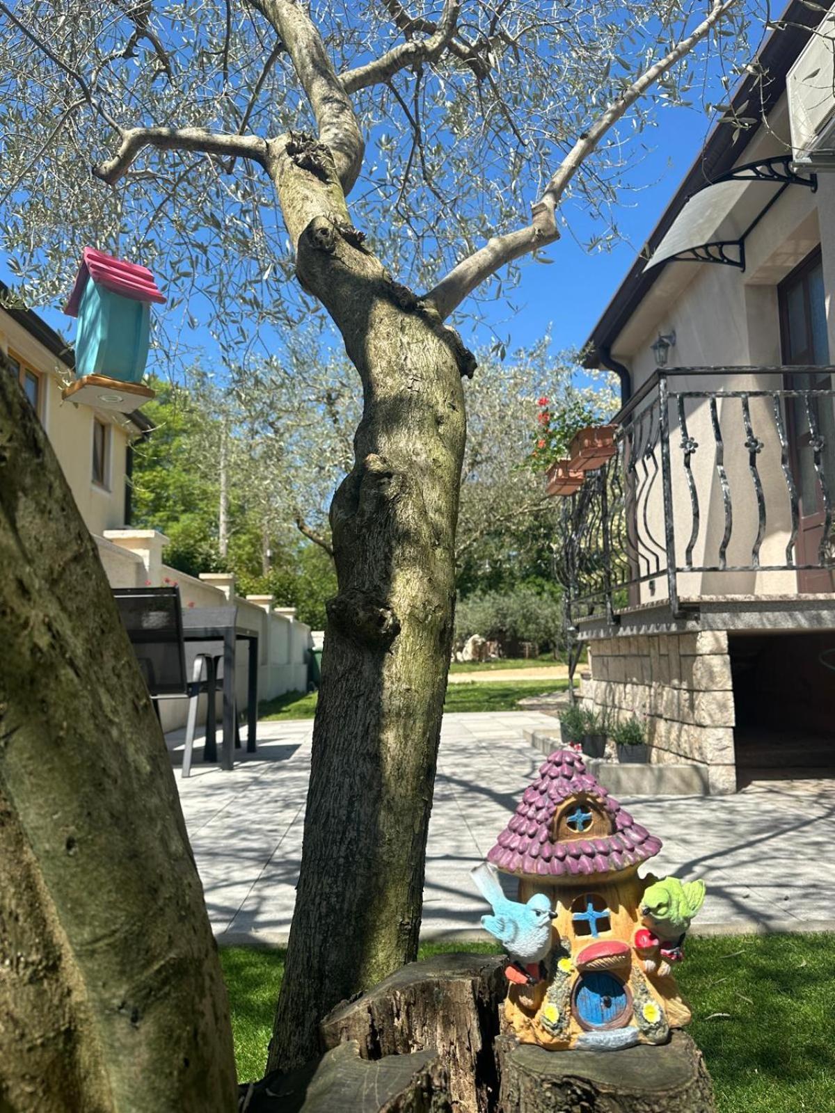 Apartment Nina With Private Pool Nova Vas  Екстер'єр фото